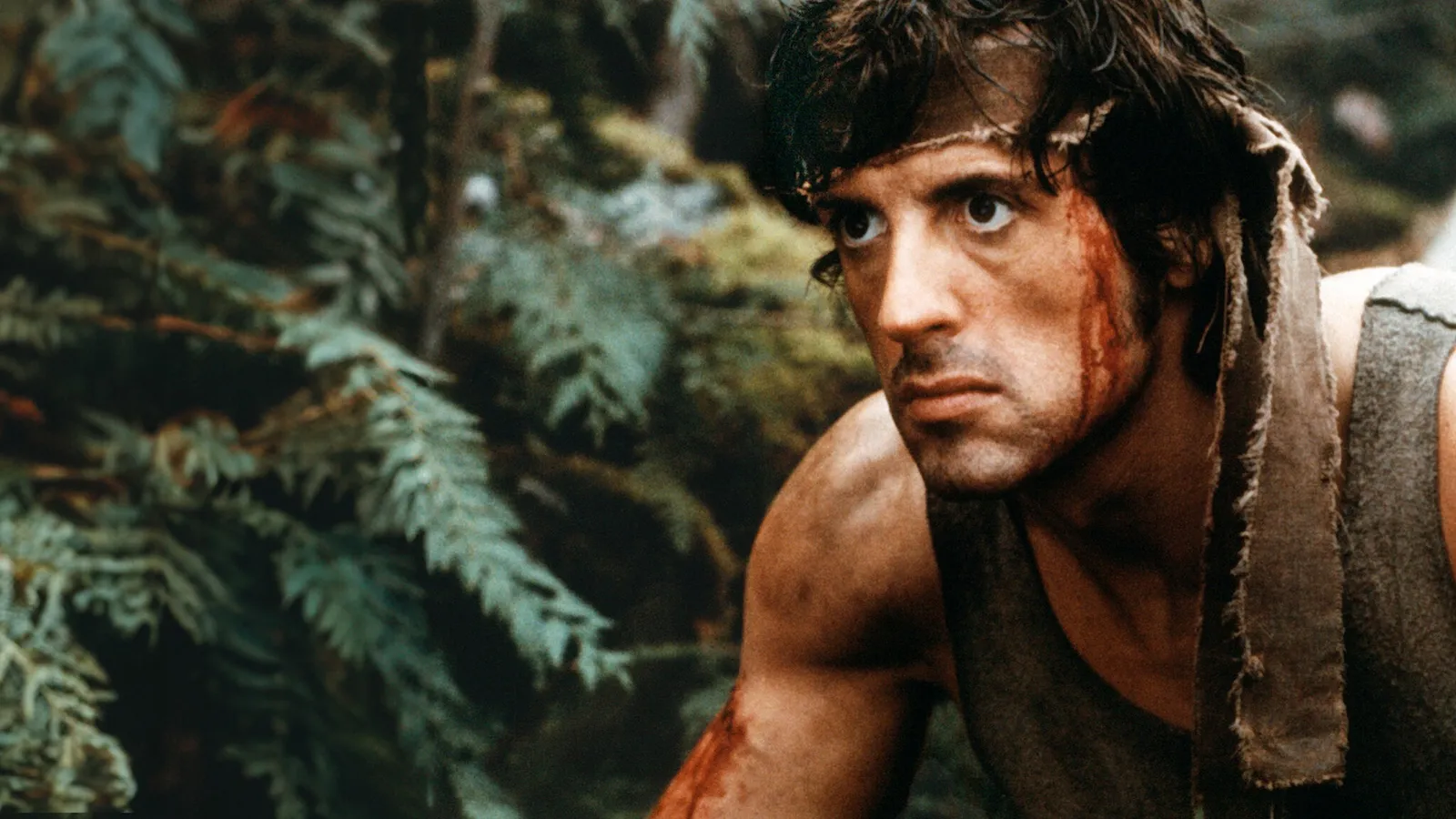 Image - John Rambo Noah Centineo reprend