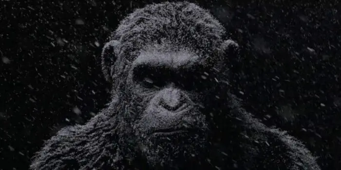 La Fox dévoile le synopsis et la bande-annonce de La Planète des Singes – Suprématie !