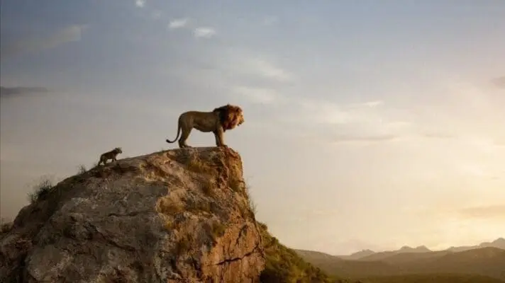 cropped le roi lion photo 1089537