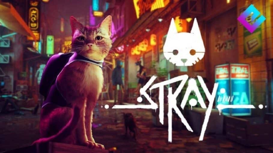 Stray -Annapurna Interactive ©