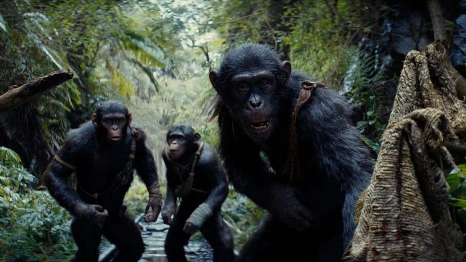 La Planète des Singes © Disney