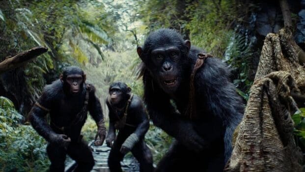 La Planète des Singes © Disney